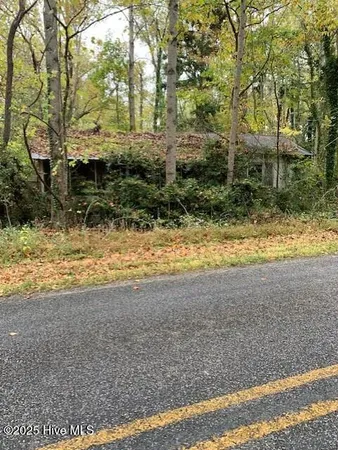 $60,000 | Tbd Swain Mill Road, Harrellsville, NC 27942