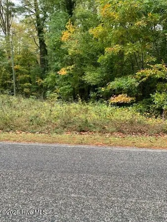 $60,000 | Tbd Swain Mill Road, Harrellsville, NC 27942