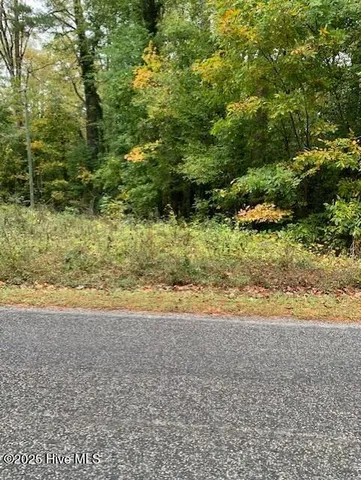 $60,000 | Tbd Swain Mill Road, Harrellsville, NC 27942