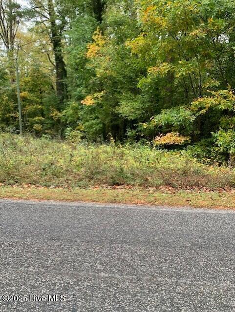 Tbd Swain Mill Road Harrellsville, NC 27942 - Photo 5 of 8 thumbnail_IMG_1226