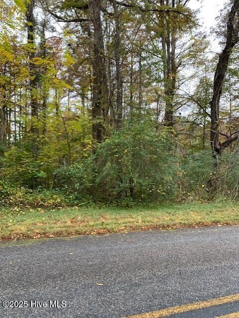 Tbd Swain Mill Road Harrellsville, NC 27942 - Photo 6 of 8 thumbnail_IMG_1227