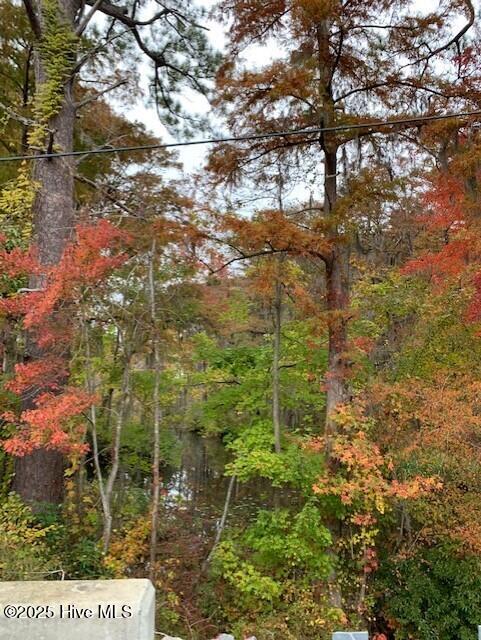 Tbd Swain Mill Road Harrellsville, NC 27942 - Photo 7 of 8 thumbnail_IMG_1230