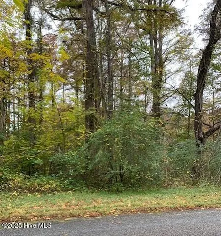 $60,000 | Tbd Swain Mill Road, Harrellsville, NC 27942