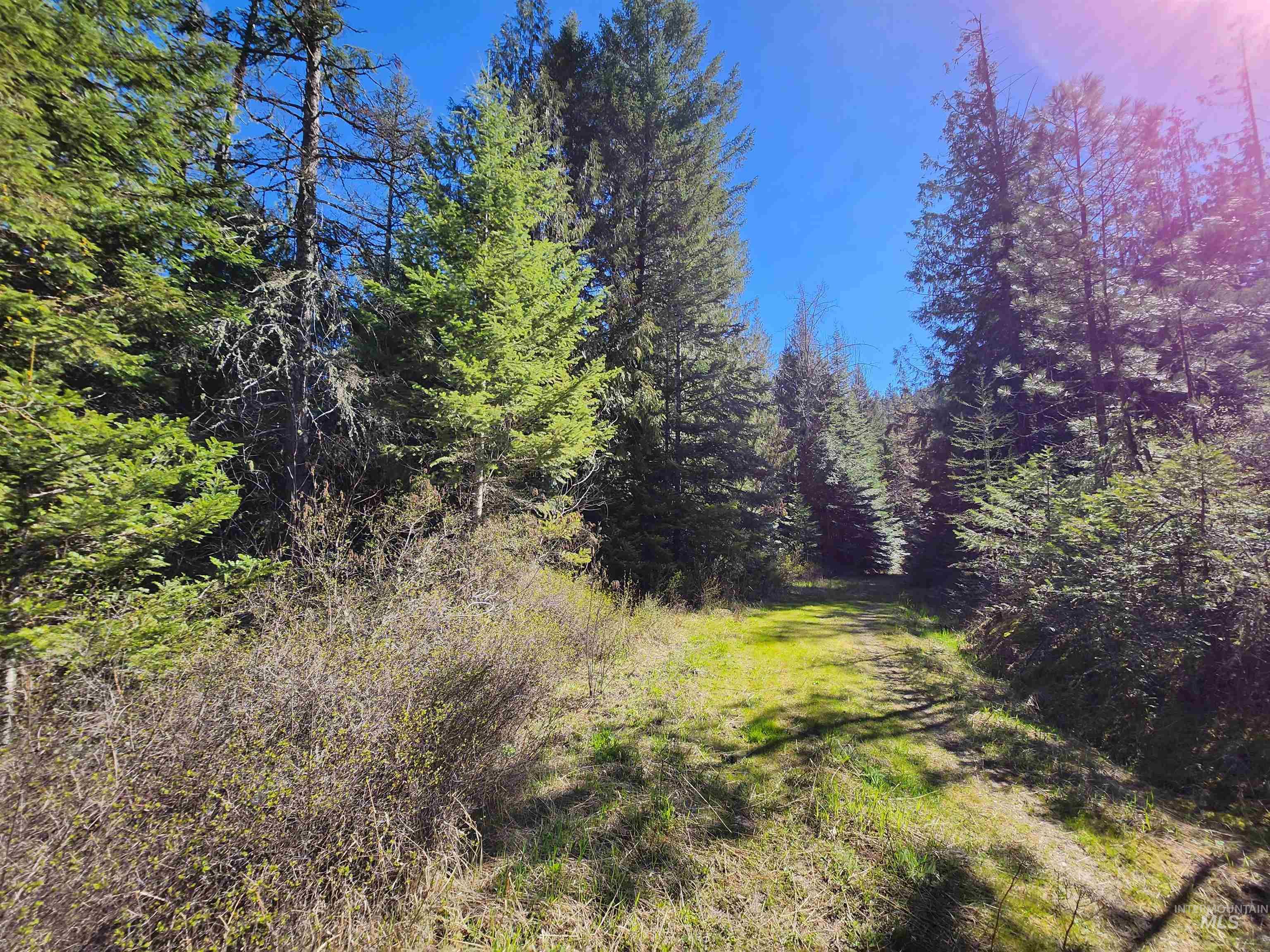 Four Four Mile Road Viola, ID 83872 - Photo 29 of 30