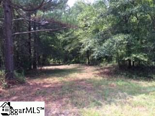 Spaar Lane Simpsonville, SC 29680 - Photo 5 of 10
