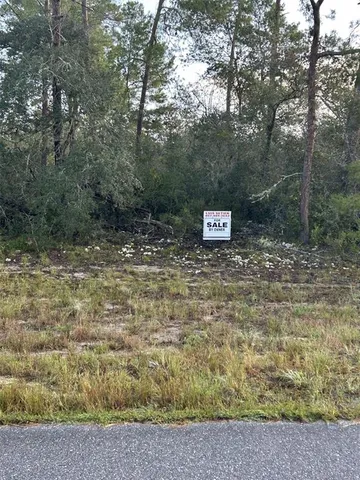 a view of a yard with trees