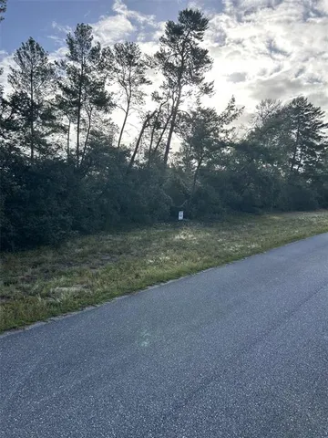 a view of a field with an trees
