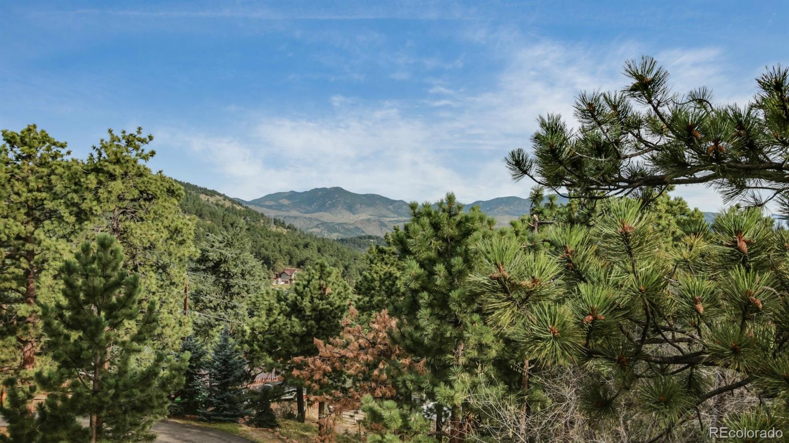 50 South Pine Road Golden, CO 80401 - Photo 27 of 35 a picture of a tree