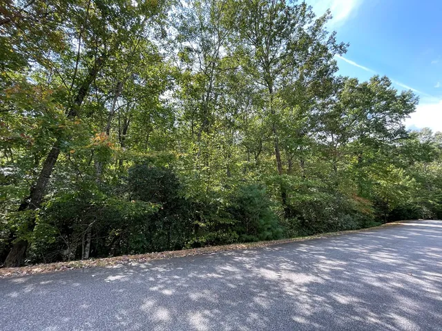 a view of a yard with plants and trees