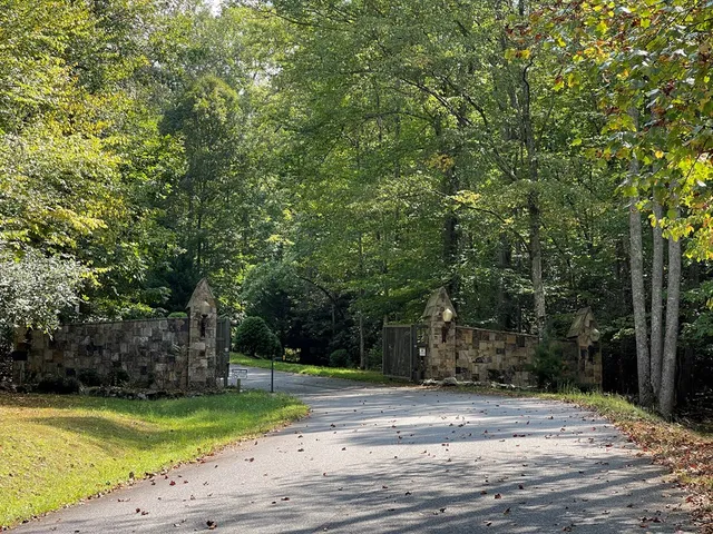 a view of a park with large trees