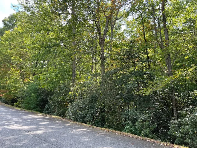 a view of a yard with plants and trees