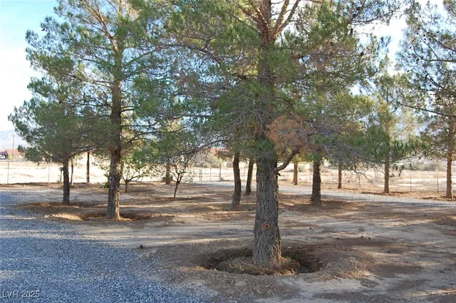 $1,800 | 1591 Avellaneda Street, Pahrump, NV 89060