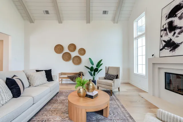 a living room with furniture a fireplace and a potted plant