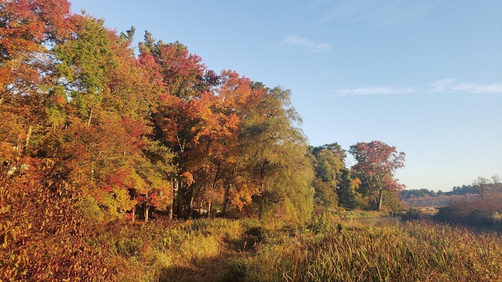 68 Meadow Cart Way Millis, MA 02054 - Photo 27 of 28 a view of a yard