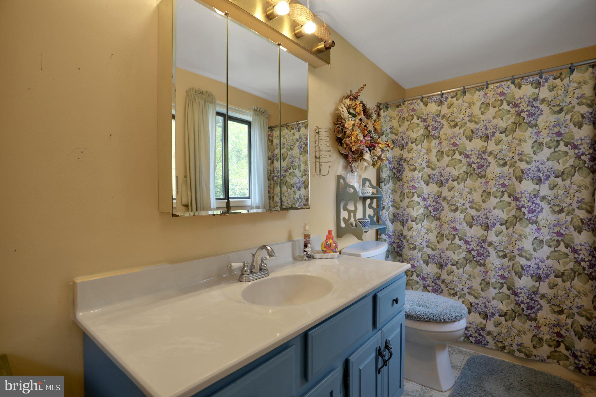 1189 Hartman Road Berkeley Springs, WV 25411 - Photo 31 of 56 Upstairs full bath