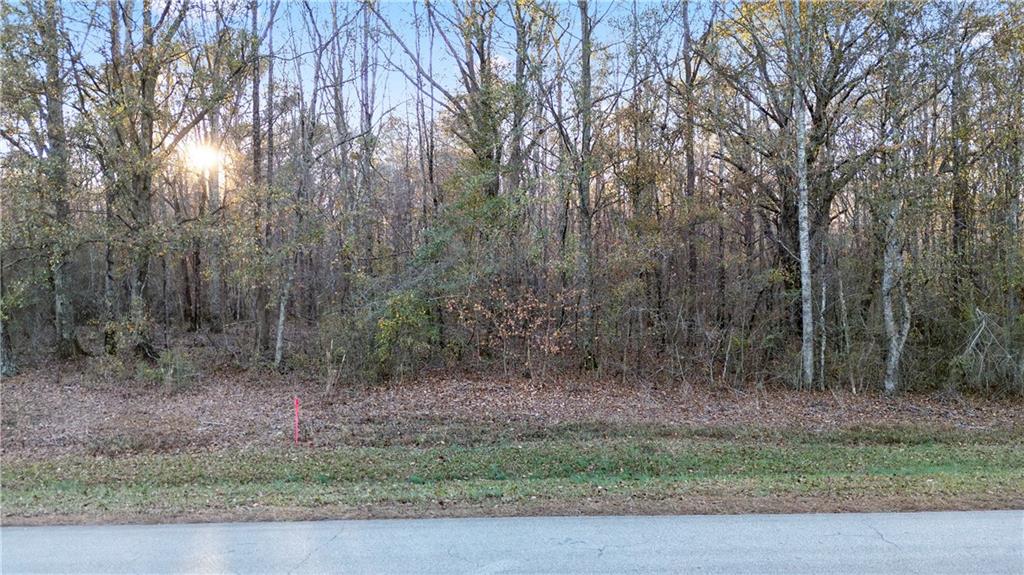 160 Old Sandhill Road Carrollton, GA 30116 - Photo 4 of 39 a view of a yard with trees