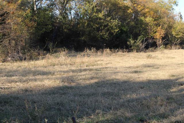Tbd 3415th Wills Point, TX 75169 - Photo 11 of 14 a view of large trees with a yard