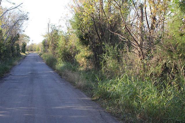 Tbd 3415th Wills Point, TX 75169 - Photo 13 of 14 a view of a pathway with a yard