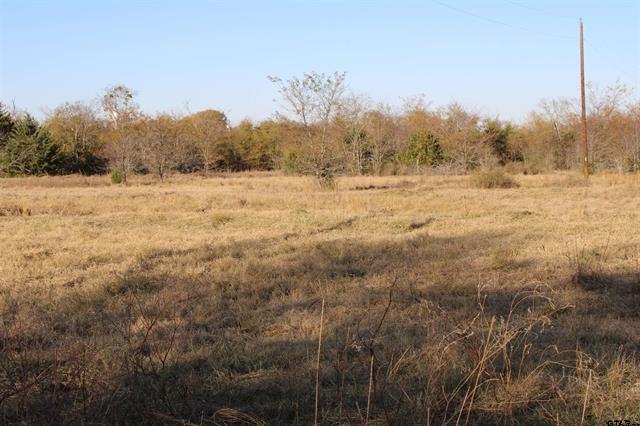 Tbd 3415th Wills Point, TX 75169 - Photo 2 of 14 a view of mountain view with trees