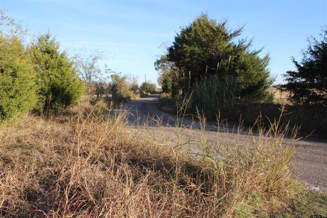 Tbd 3415th Wills Point, TX 75169 - Photo 9 of 14 a view of a lake with a tree in front
