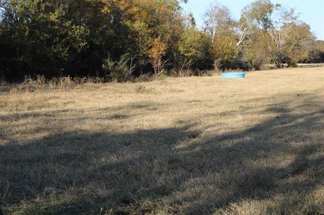 Tbd 3415th Wills Point, TX 75169 - Photo 10 of 14 a view of a yard covered in snow