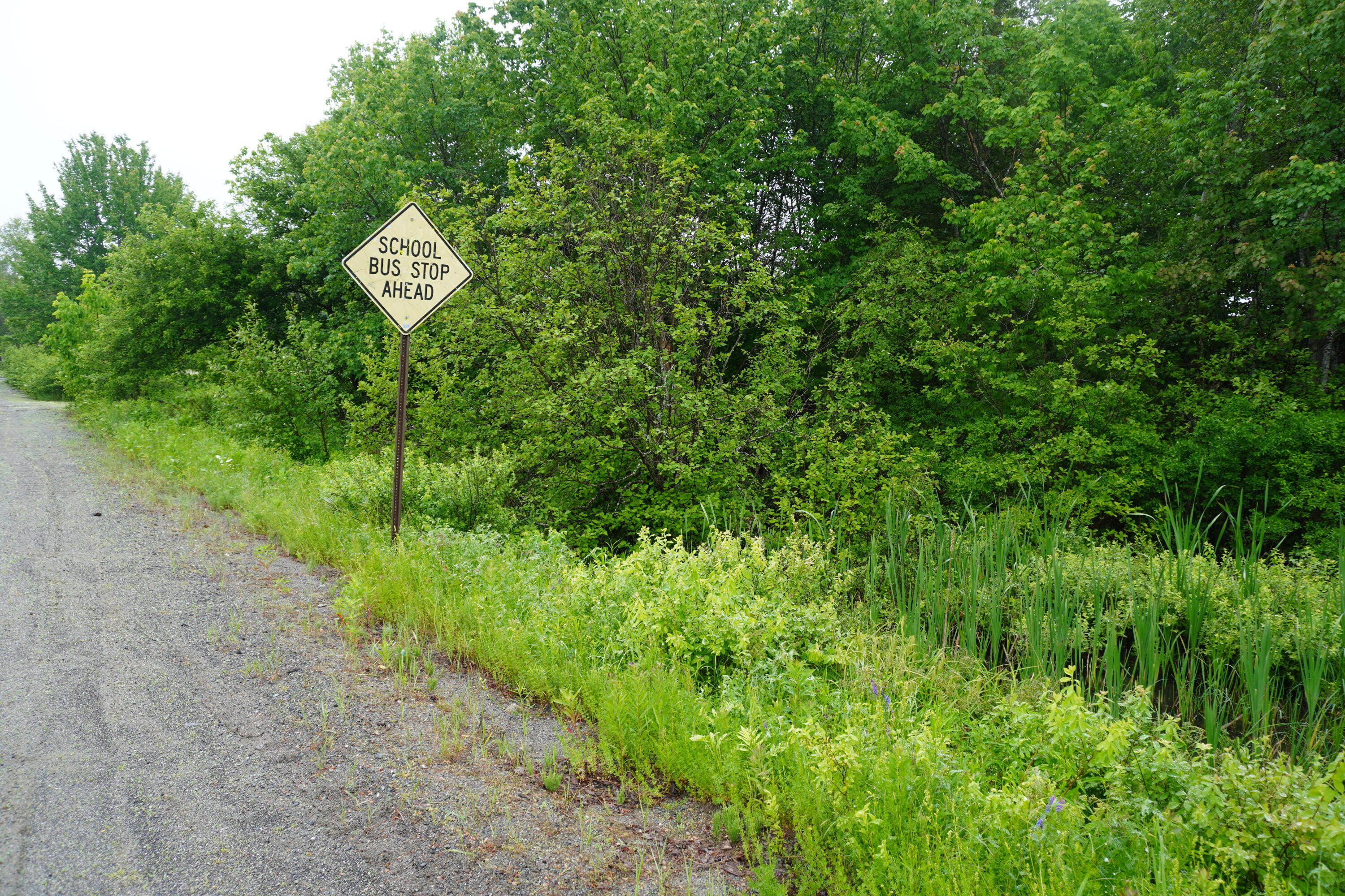 Lot 54.1 Lyford Road Milo, ME 04463 - Photo 4 of 5 Road