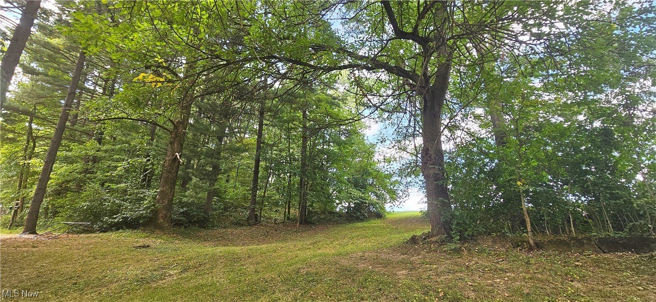 3003 Oil City Road Wooster, OH 44691 - Photo 2 of 31 Wooded yard