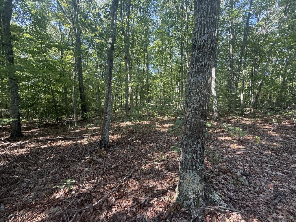 Dixie Hill Road Buckingham, VA 23921 - Photo 5 of 5 Gallery Image 5