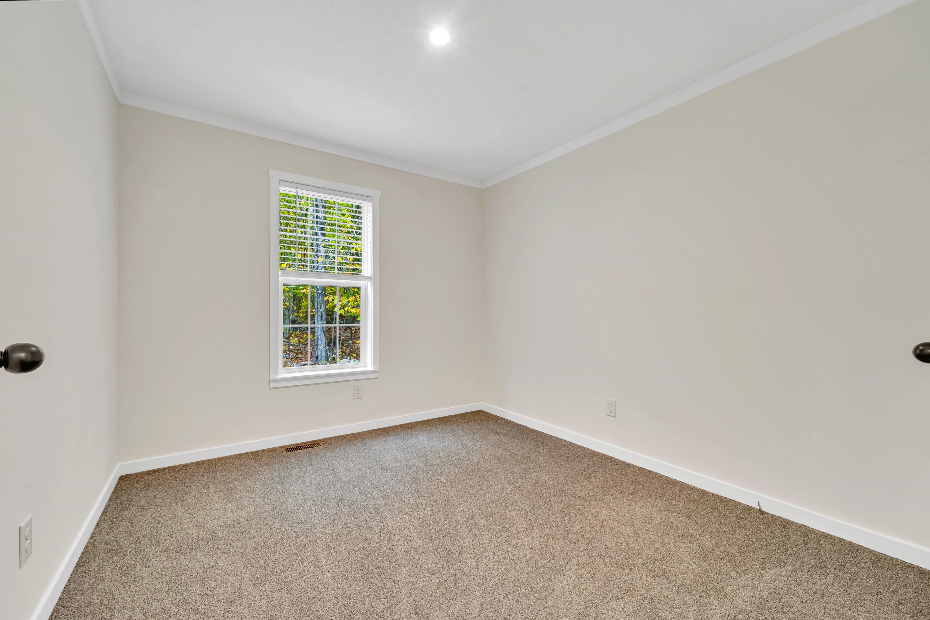 118 Champion Hill Road Effingham, NH 03882 - Photo 35 of 42