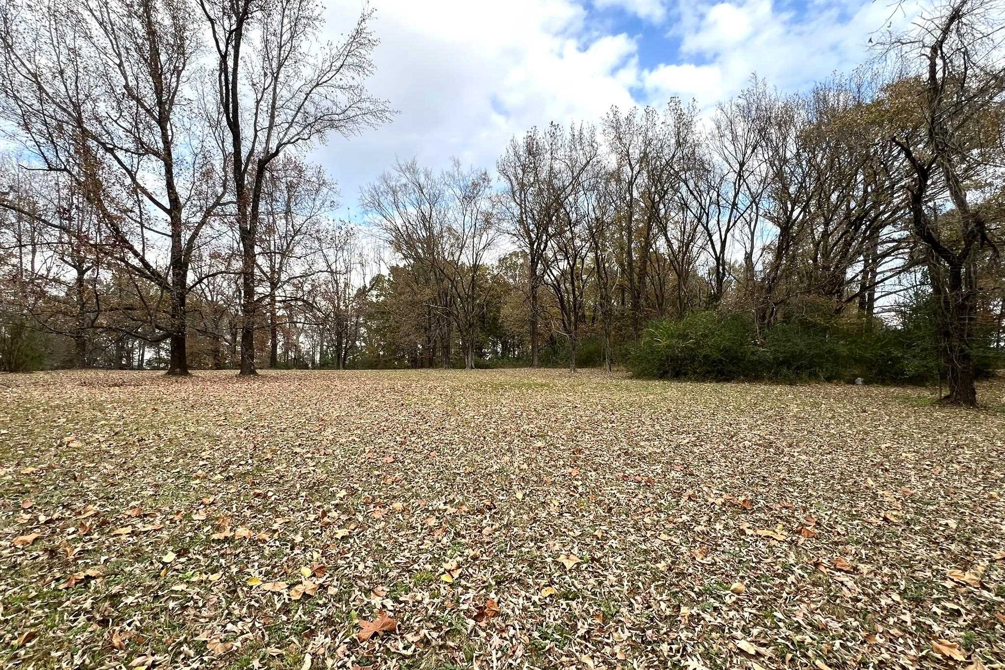 0 Macon Road Cordova, TN 38016 - Photo 11 of 18