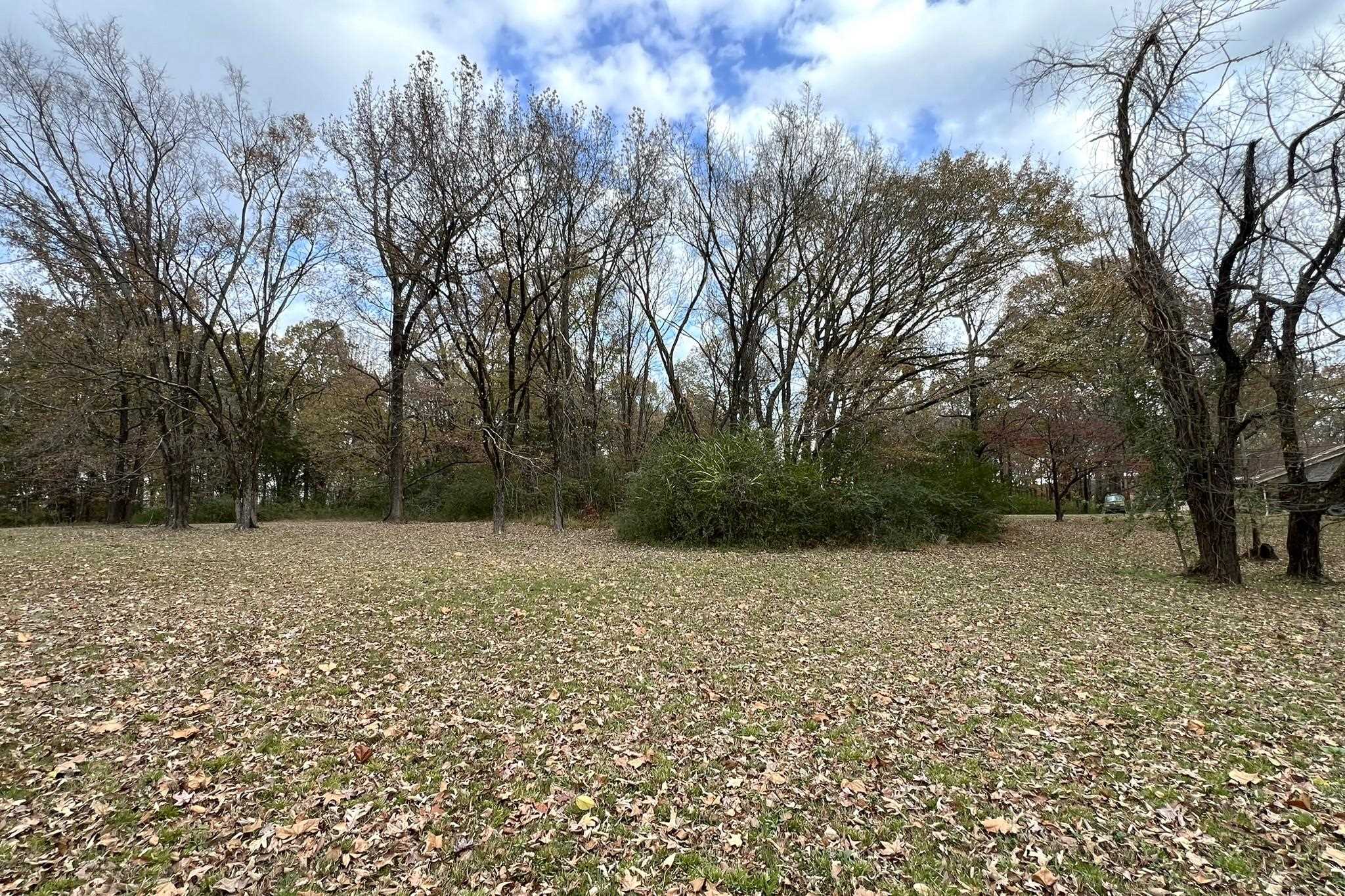 0 Macon Road Cordova, TN 38016 - Photo 12 of 18 a backyard of a house with lots of green space