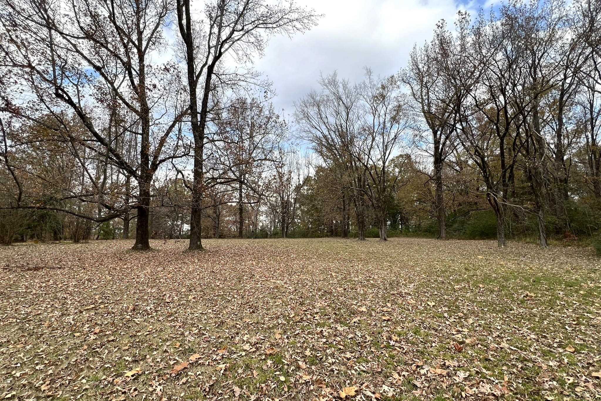0 Macon Road Cordova, TN 38016 - Photo 13 of 18 a wooden bench with trees in the background