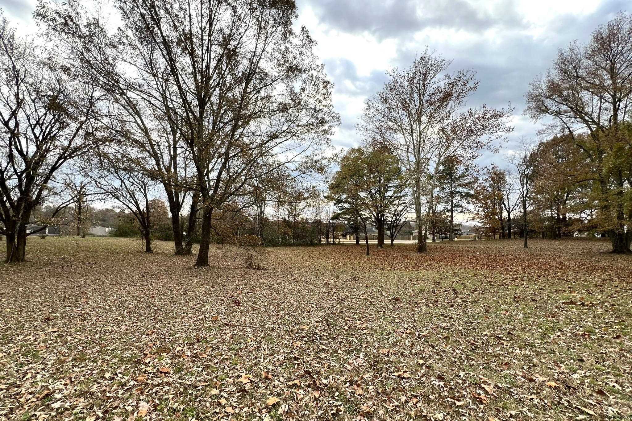 0 Macon Road Cordova, TN 38016 - Photo 14 of 18 a backyard of a house with lots of green space