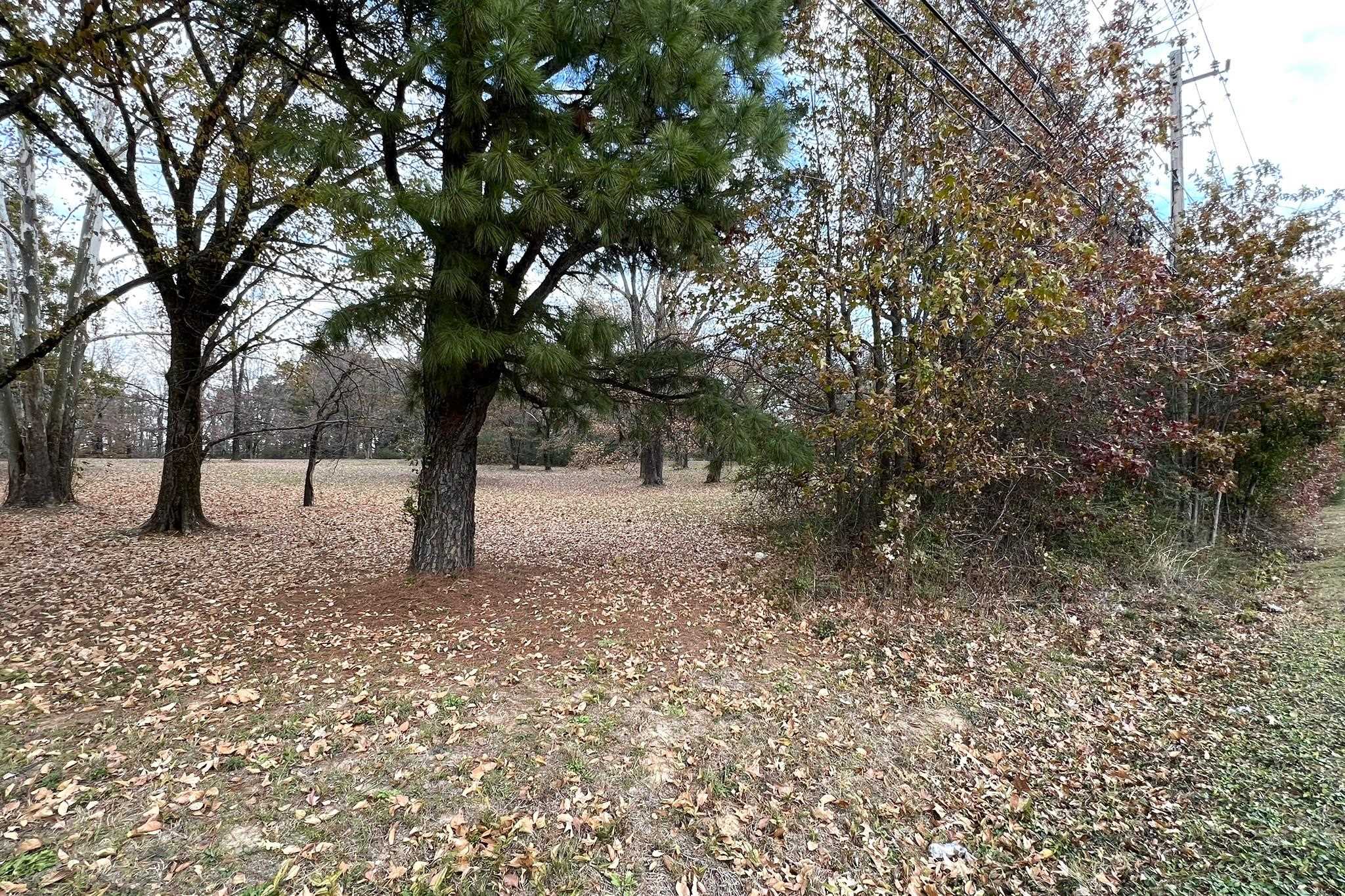 0 Macon Road Cordova, TN 38016 - Photo 5 of 18 a view of outdoor space with trees