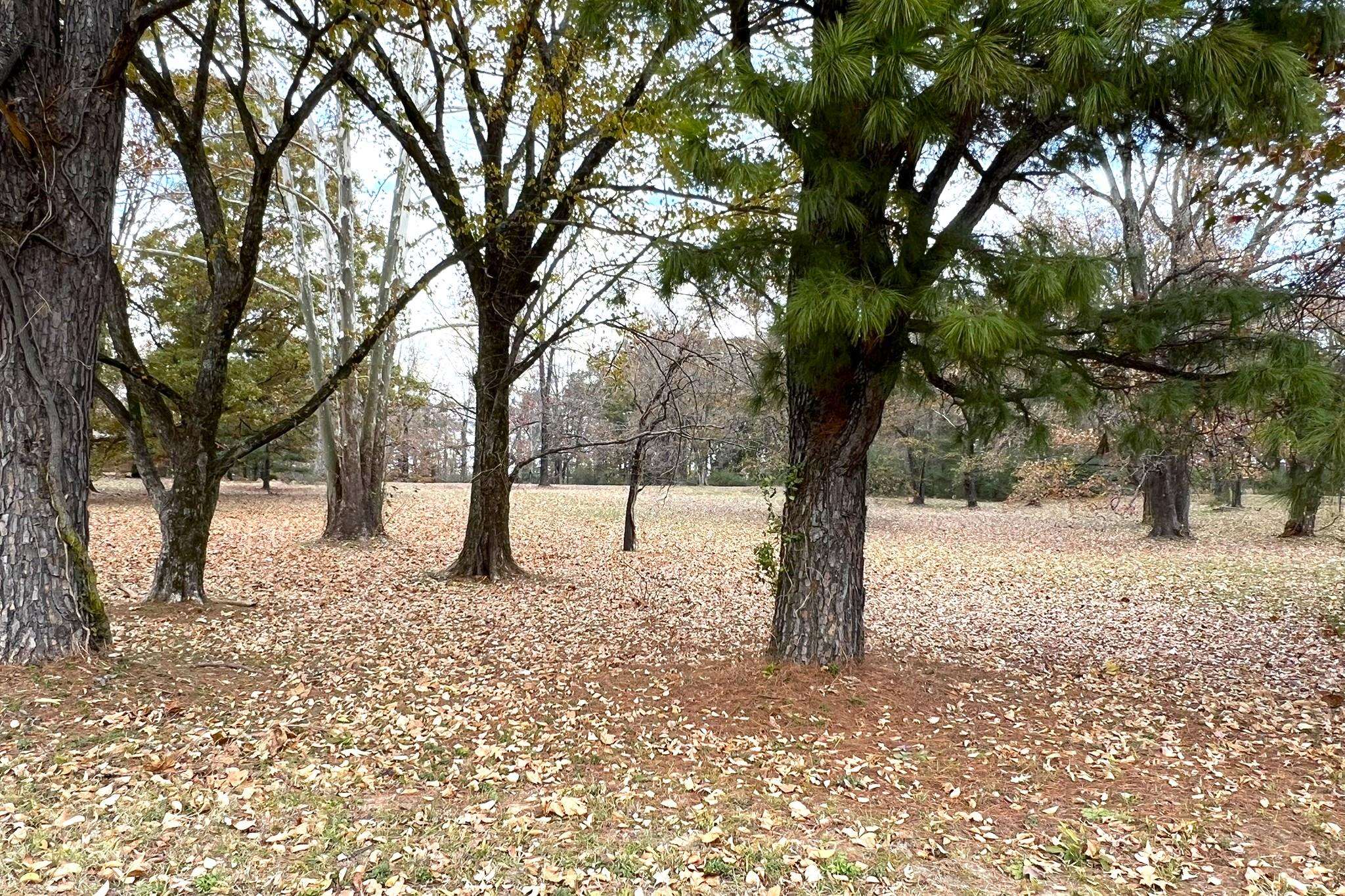 0 Macon Road Cordova, TN 38016 - Photo 6 of 18 a street view with large trees