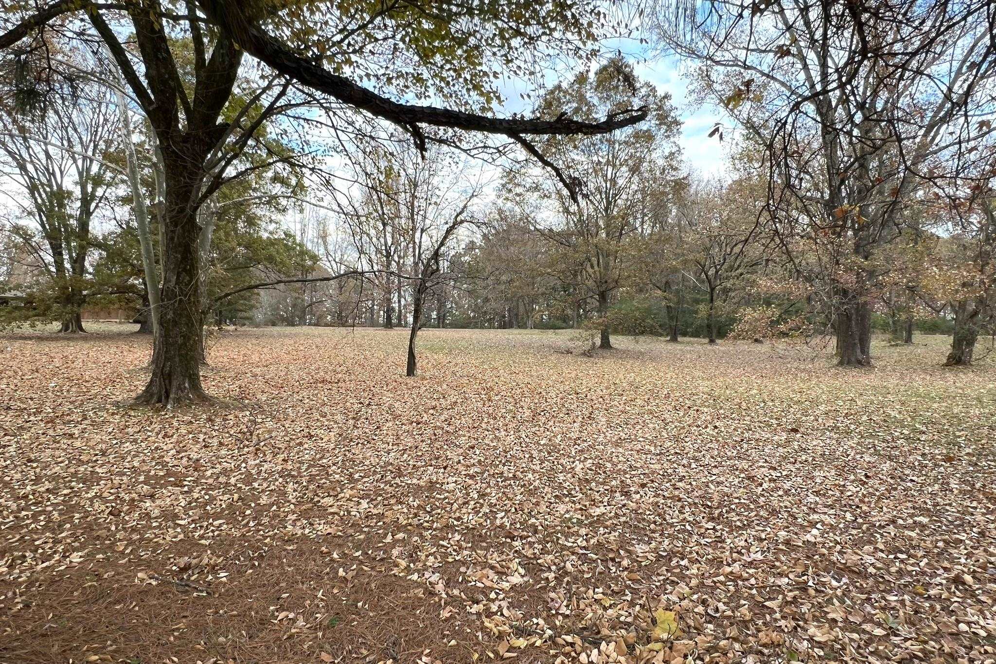 0 Macon Road Cordova, TN 38016 - Photo 7 of 18 a view of yard covered with snow