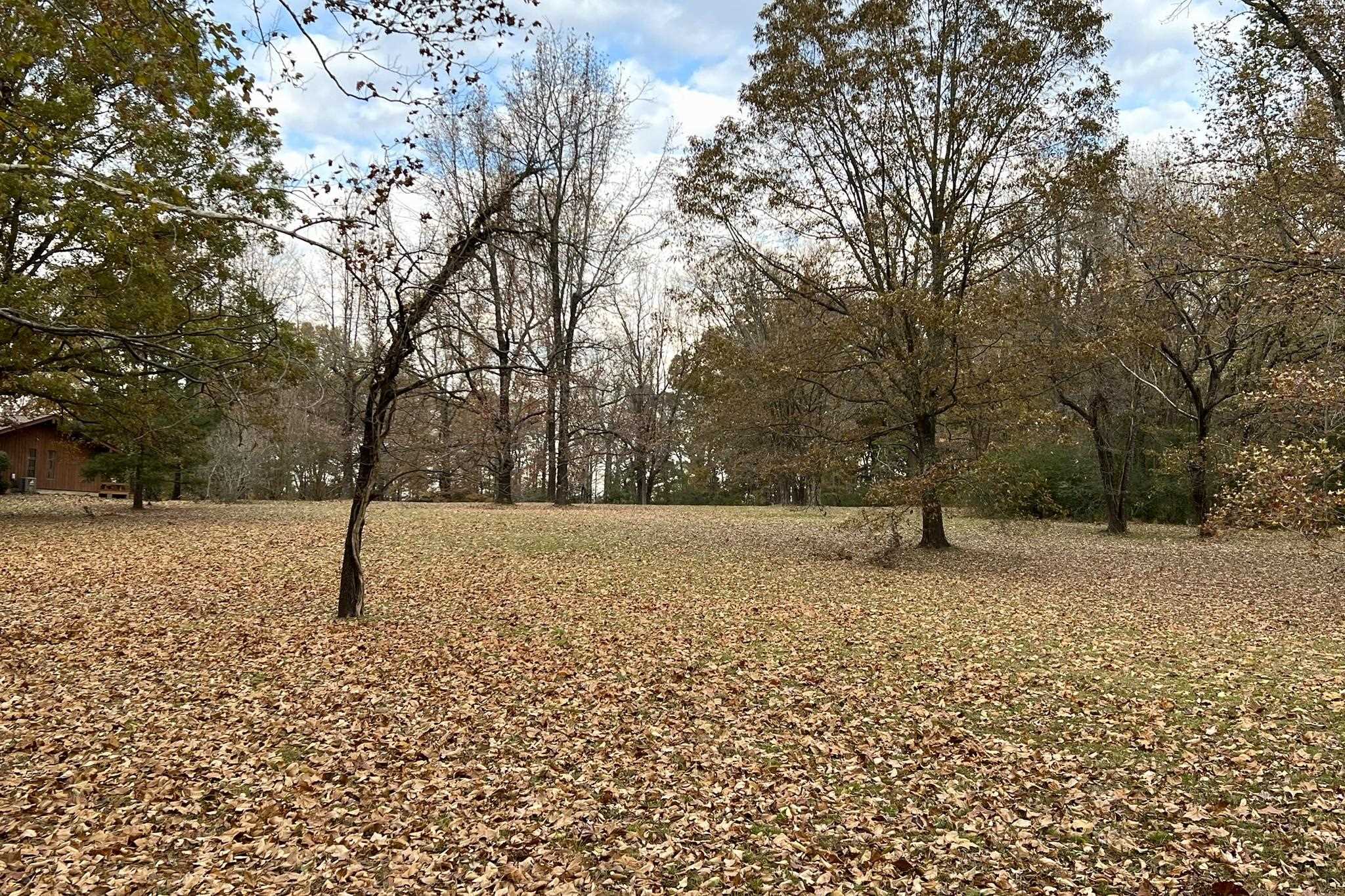 0 Macon Road Cordova, TN 38016 - Photo 8 of 18 a view of empty space with trees