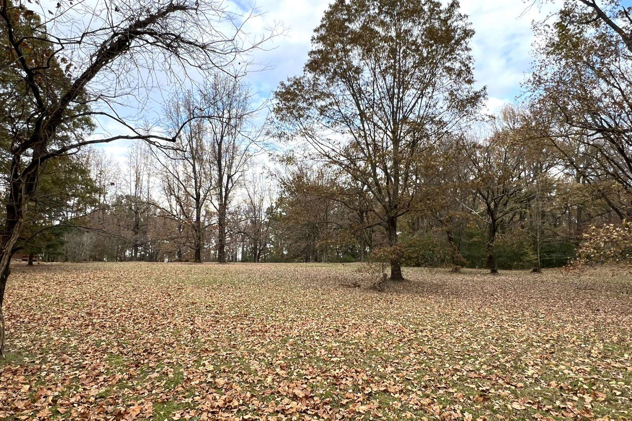 0 Macon Road Cordova, TN 38016 - Photo 9 of 18 a street view with wooden fence