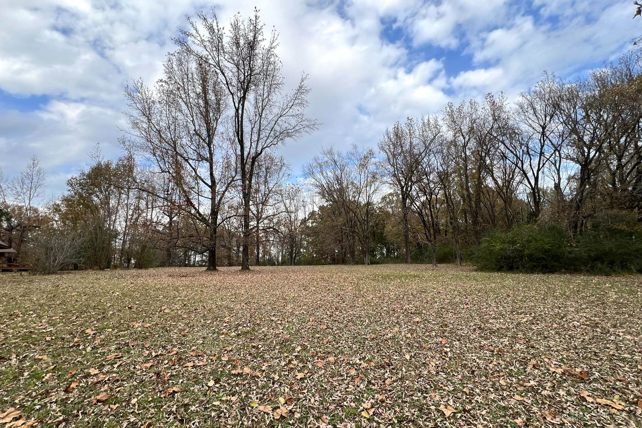 0 Macon Road Cordova, TN 38016 - Photo 10 of 18 a view of a field with trees in the background