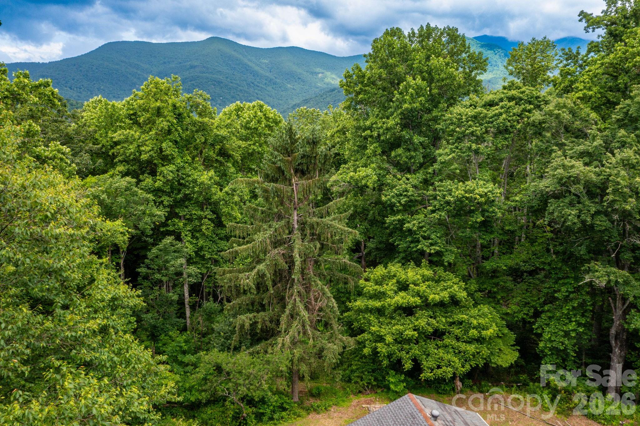 191 Walkertown Road Black Mountain, NC 28711 - Photo 3 of 9