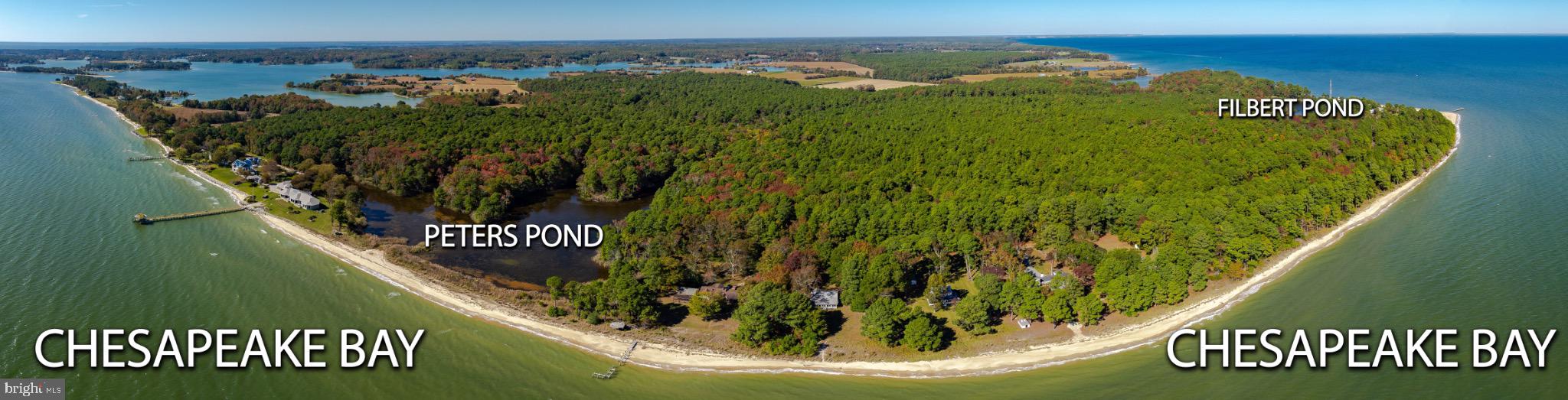 50645 Holly Point Road Dameron, MD 20628 - Photo 45 of 99