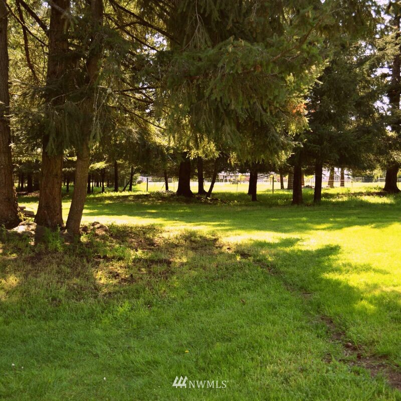12517 Moes Road Southeast Rainier, WA 98576 - Photo 14 of 25 Gallery Image 14