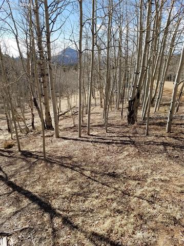 826 Princess Road Cripple Creek, CO 80813 - Photo 27 of 33 Gallery Image 27