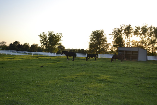 19602 Hebron Road Harvard, IL 60033 - Photo 24 of 25