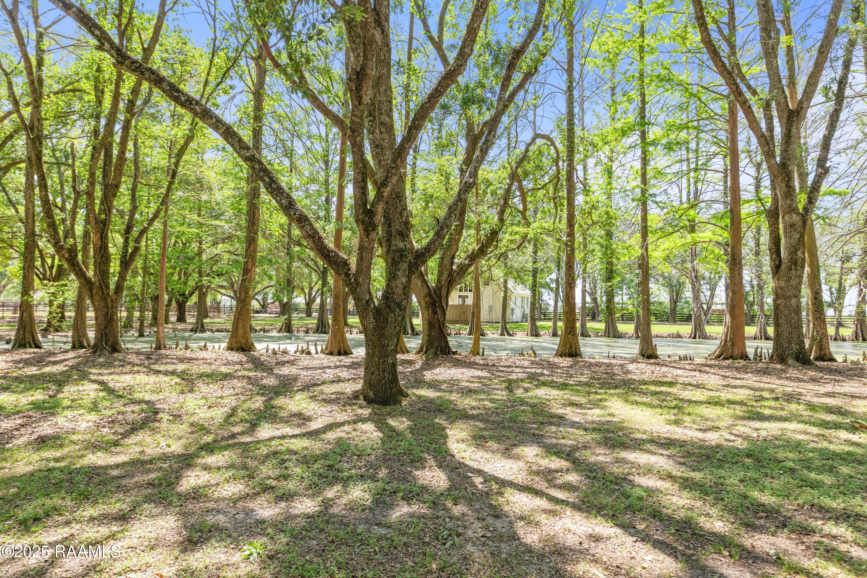 7403 Roberts Cove Road Rayne, LA 70578 - Photo 43 of 50 3xRhCzig