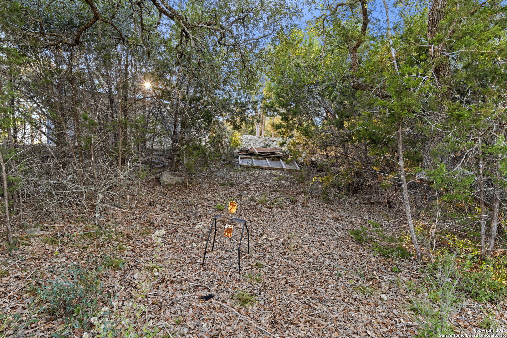 4335 Mail Rte Road Fischer, TX 78623 - Photo 46 of 50 a backyard of a house with lots of green space