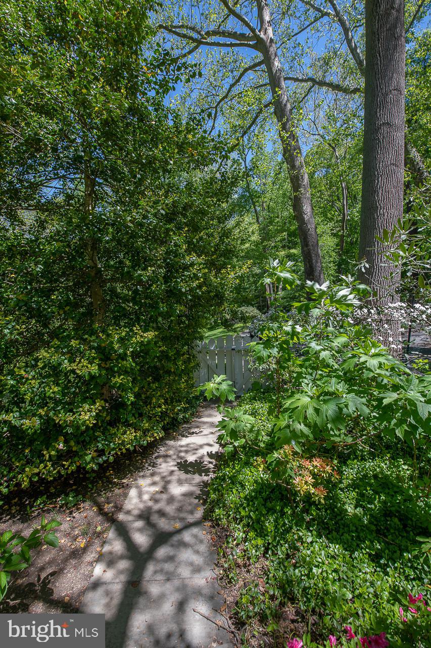 20 Righters Mill Road Gladwyne, PA 19035 - Photo 43 of 48 Garden Pathway