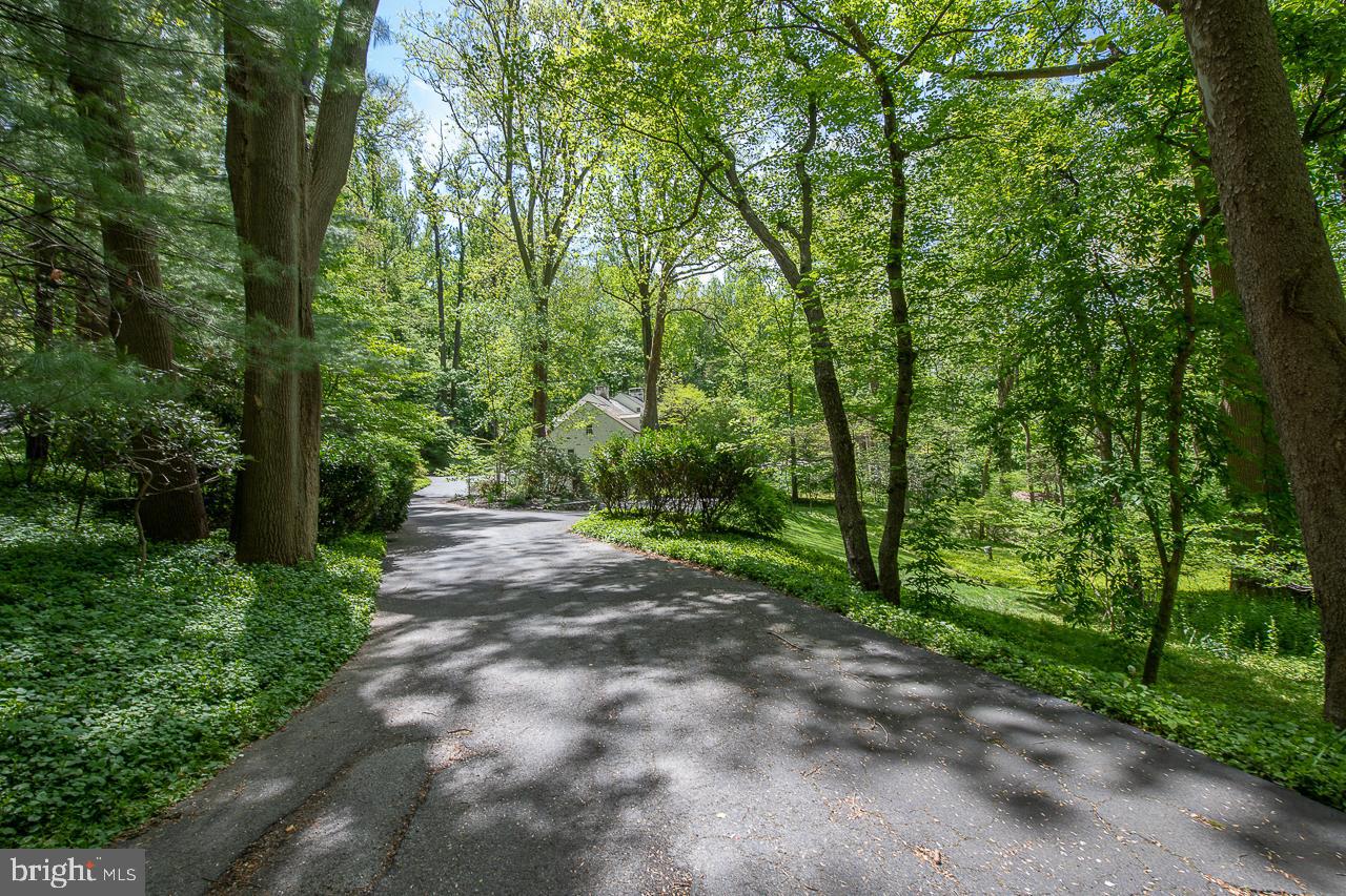 20 Righters Mill Road Gladwyne, PA 19035 - Photo 44 of 48 Private Driveway