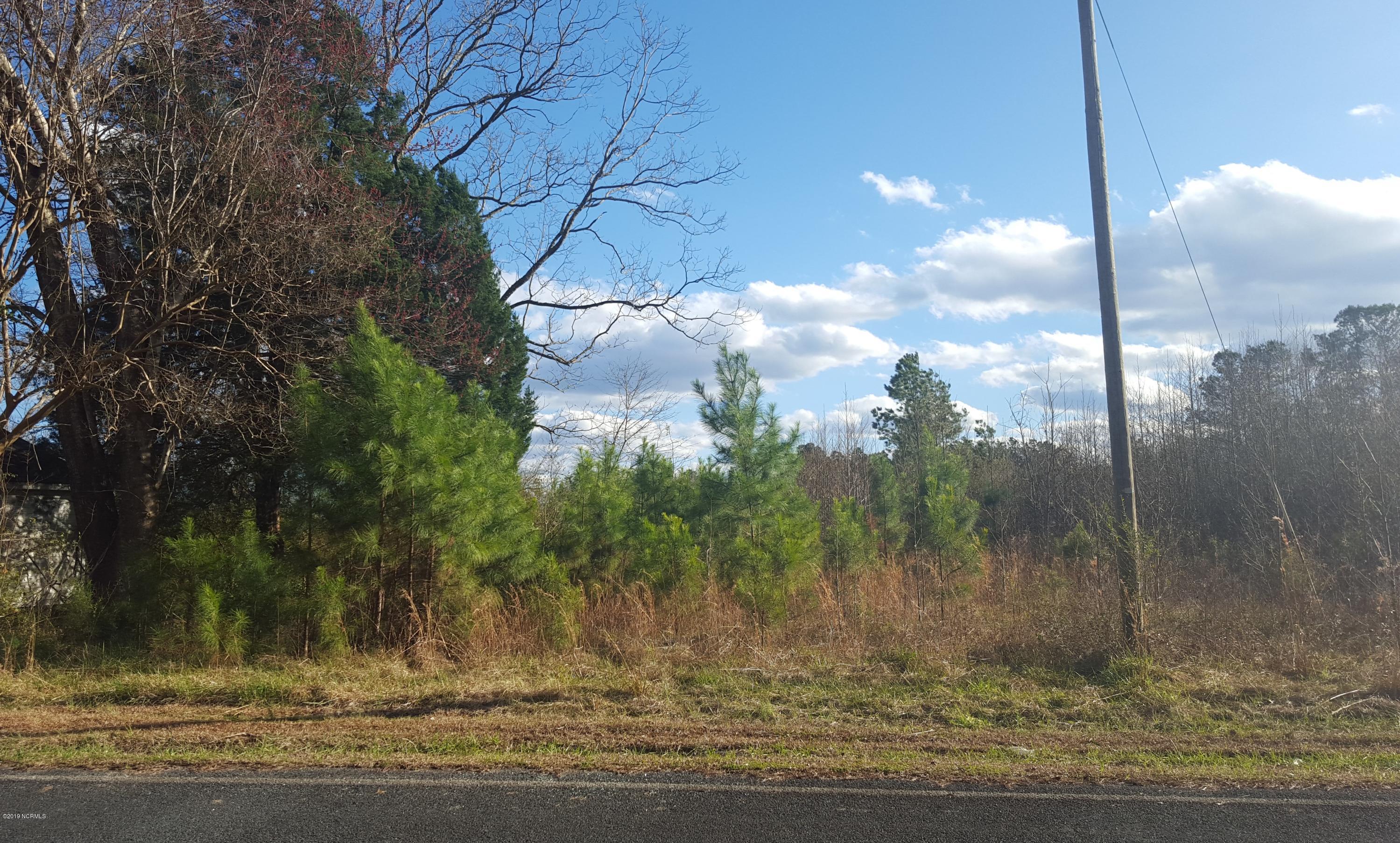 97 Browntown Road Riegelwood, NC 28456 - Photo 1 of 3 20160225_160448 (2)