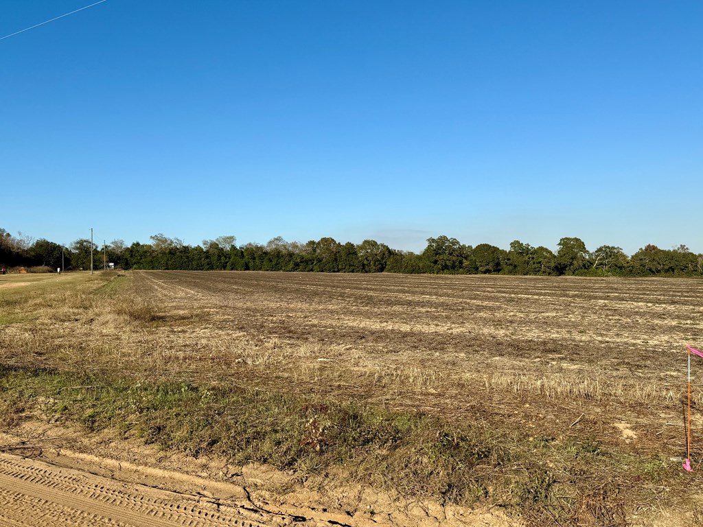 7.57-acres Burdeshaw Road Headland, AL 36345 - Photo 8 of 11
